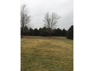 6 Acres with mobile home, 54' x 88' heated and insulated pole building with office, equipment storage, shop, overhead storage and restroom.  Well and 2 septic systems.  24' x 40' livestock or storage building.

Great for mini-farm or additional storage and shop for local farmers.  Excellent potential building site. - 6 Acres with Mobile Home, Pole Building & Storage or Livestock Building